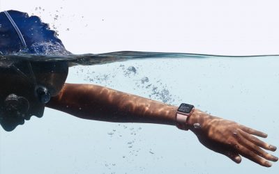 Inside the Workout App