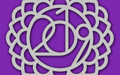 Apple Activity App Yoga Day Challenge to Celebrate International Day of Yoga